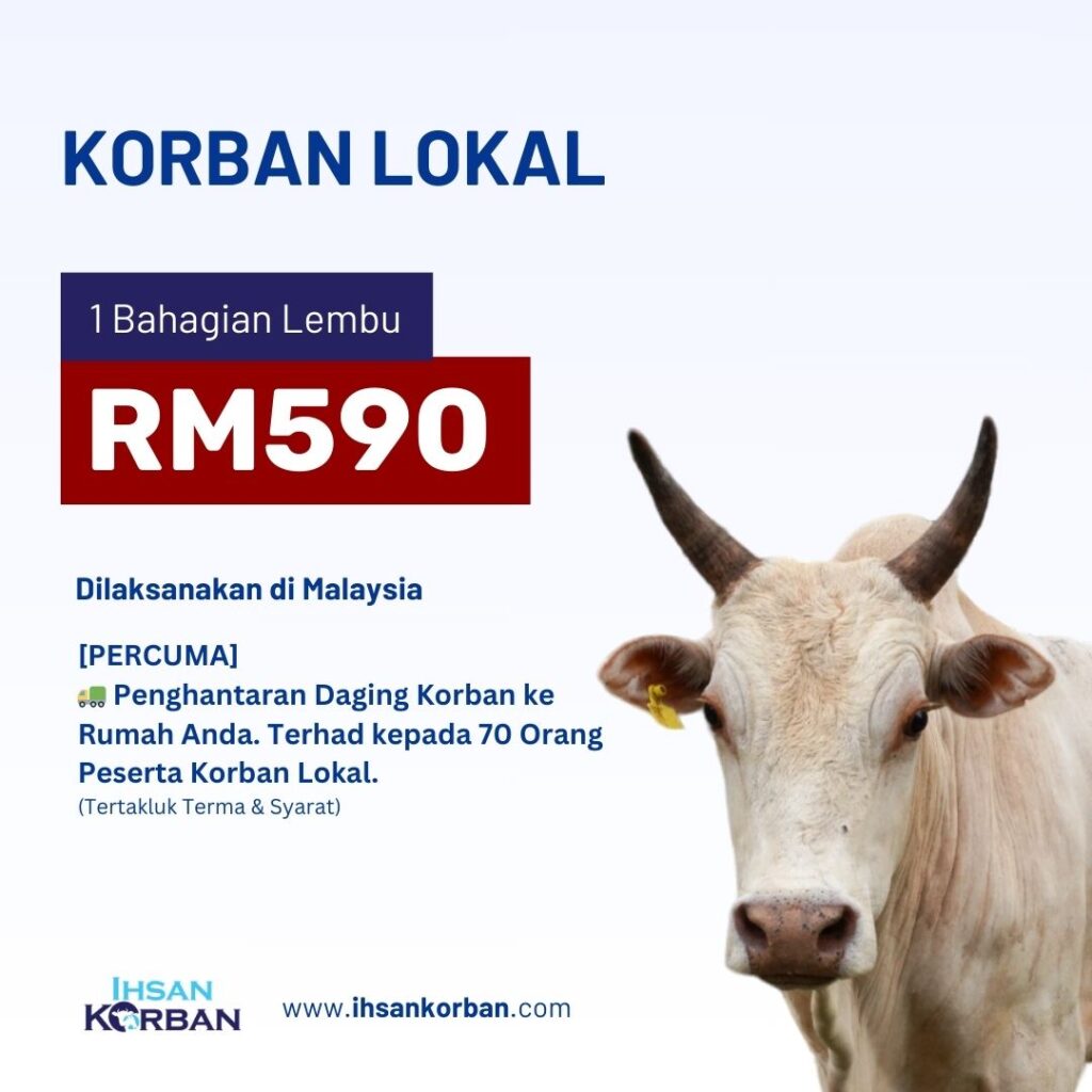 korban 2024